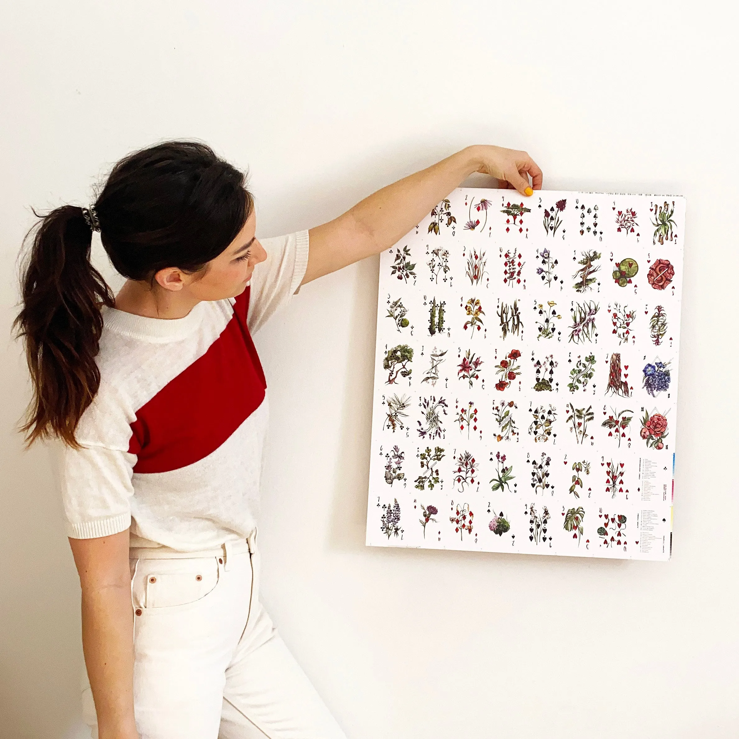 Vaxa Uncut Sheet