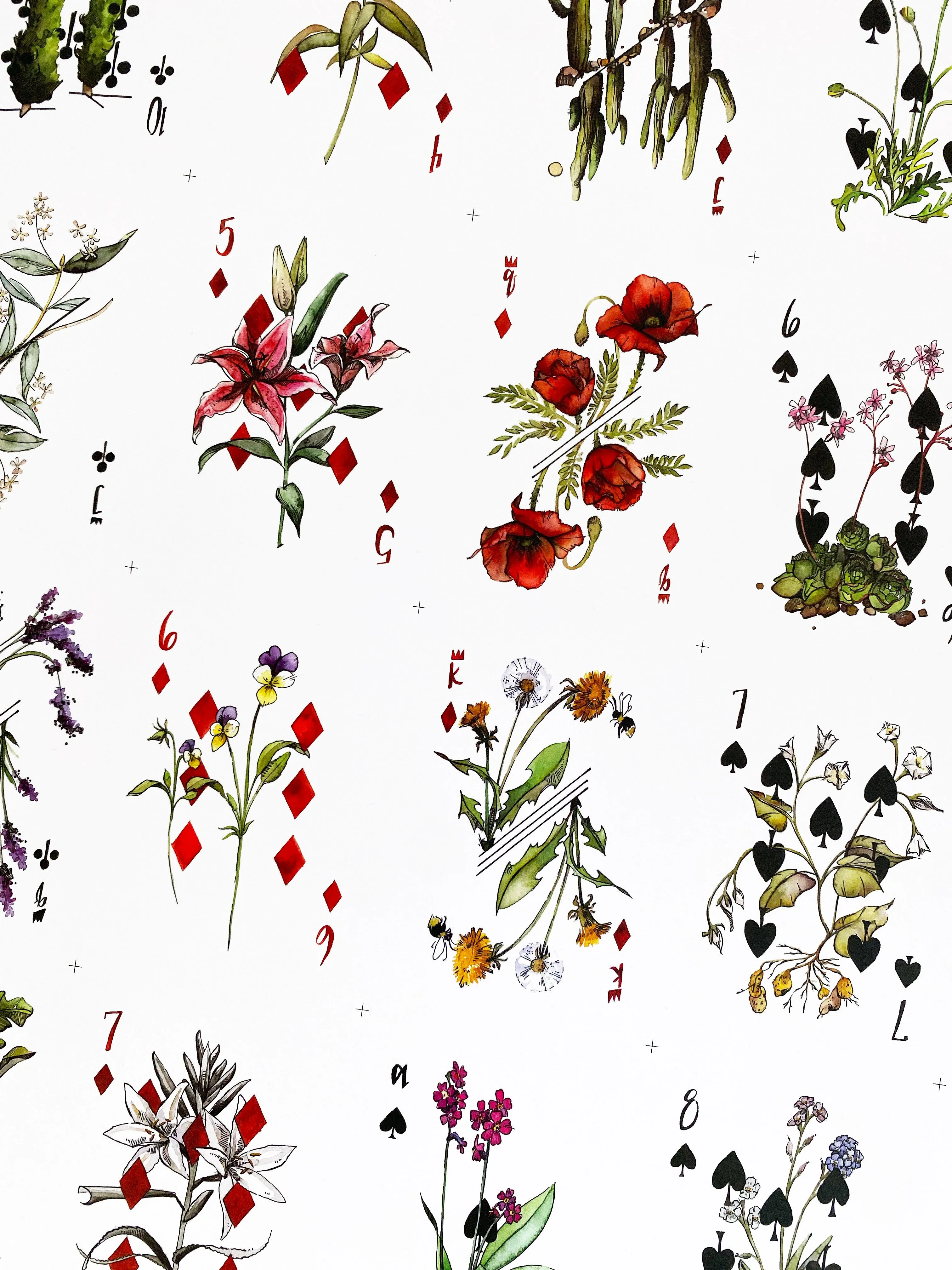 Vaxa Uncut Sheet
