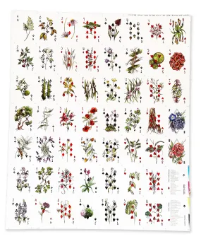 Vaxa Uncut Sheet
